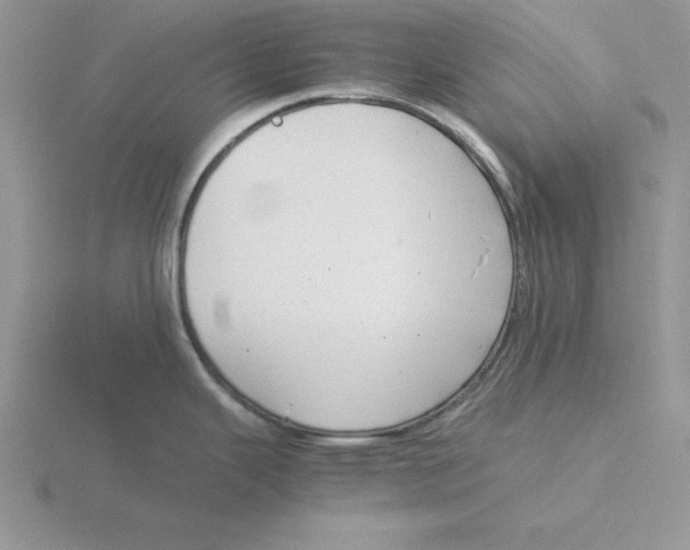 X0000115821343200912111243