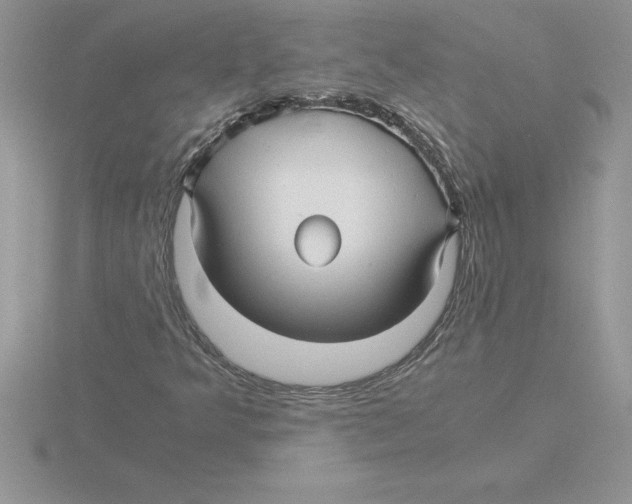 X0000115821349200912111242