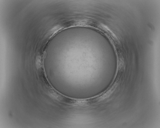 X0000115821353200912111242