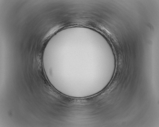 X0000115821354200912111242