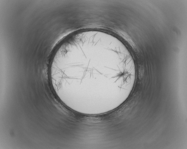 X0000115821356200912111242