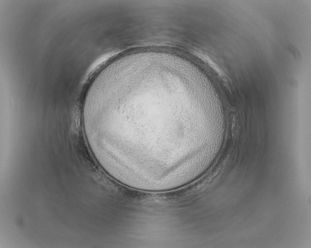 X0000115821358200912111242