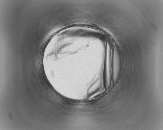 X0000115821359200912111242