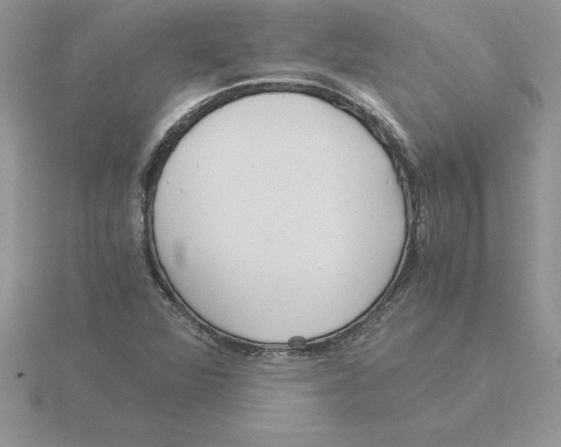 X0000115821360200912111242