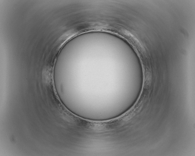 X0000115821361200912111242