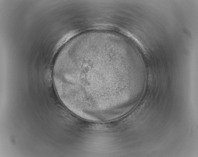 X0000115821362200912111242