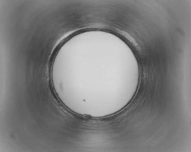 X0000115821364200912111242