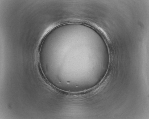 X0000115821365200912111242