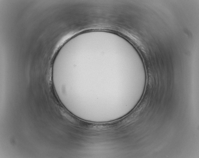 X0000115821366200912111242