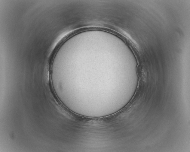 X0000115821368200912111242