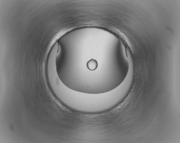 X0000115821373200912111242