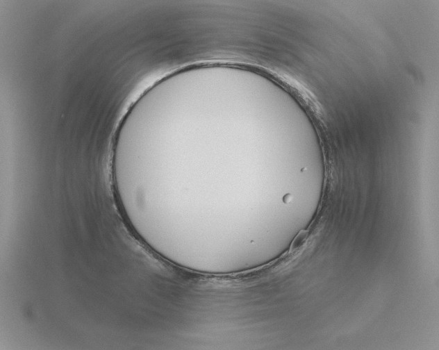 X0000115821374200912111242