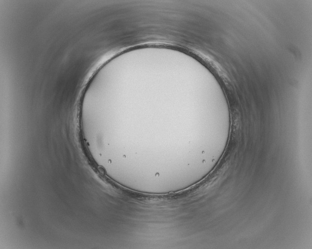 X0000115821375200912111242