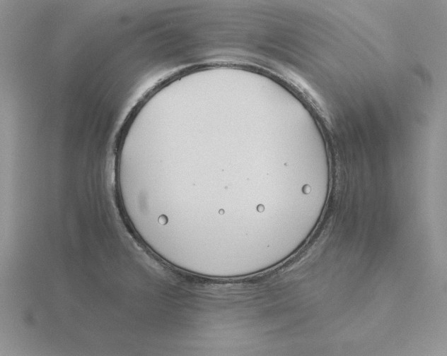 X0000115821376200912111242