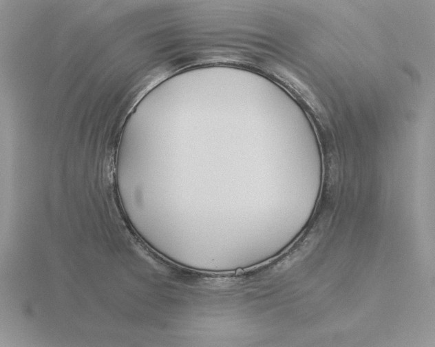 X0000115821377200912111242