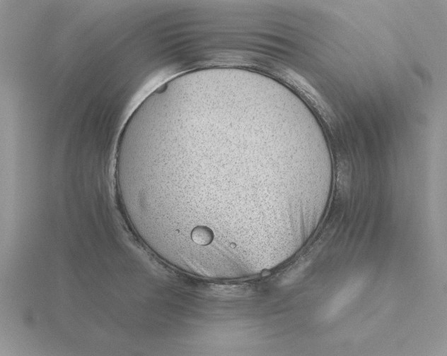 X0000115821378200912111242