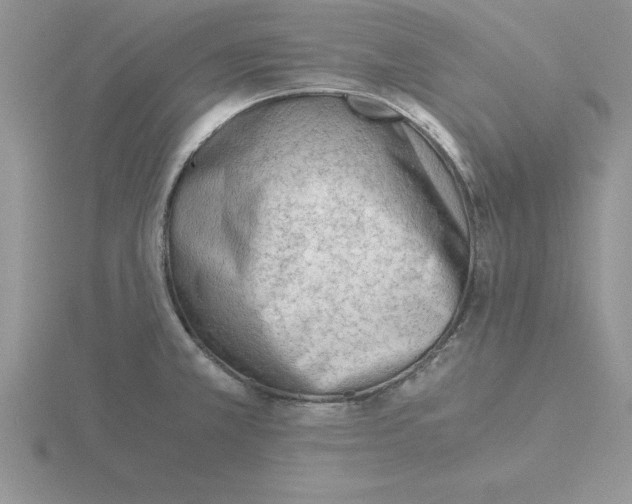 X0000115821381200912111242