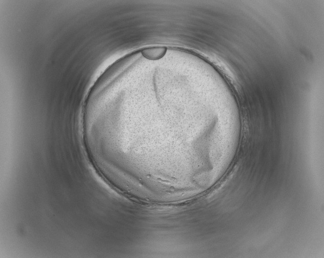 X0000115821382200912111242