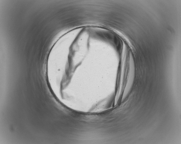 X0000115821383200912111242