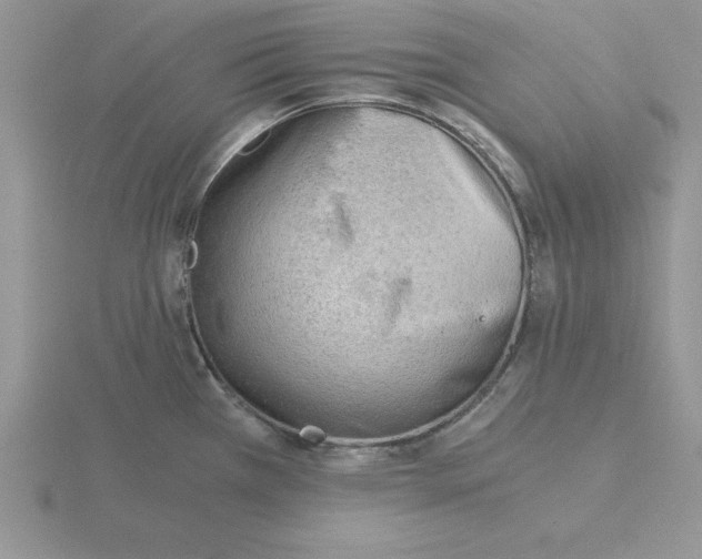 X0000115821385200912111242