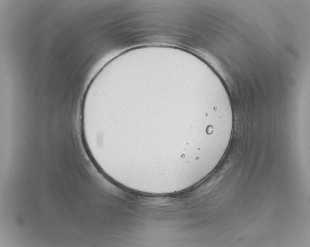 X0000115821387200912111242