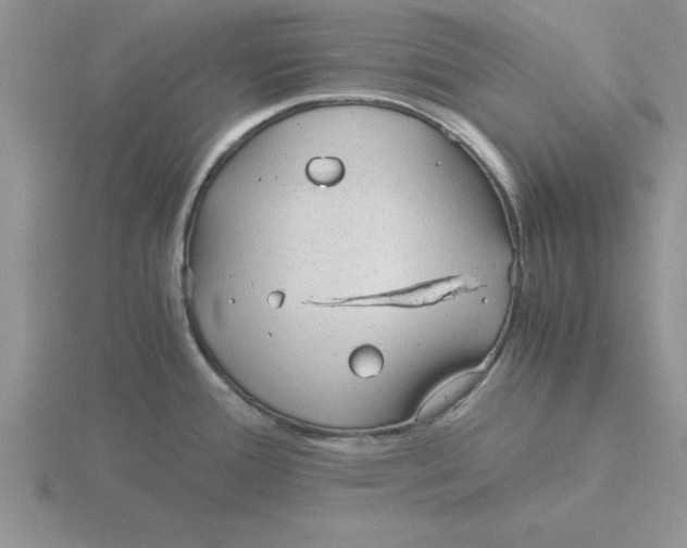 X0000115821388200912111242