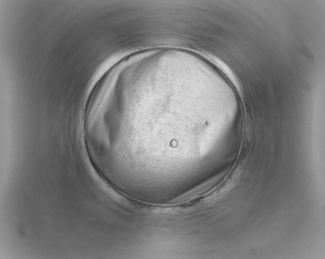 X0000115821389200912111242