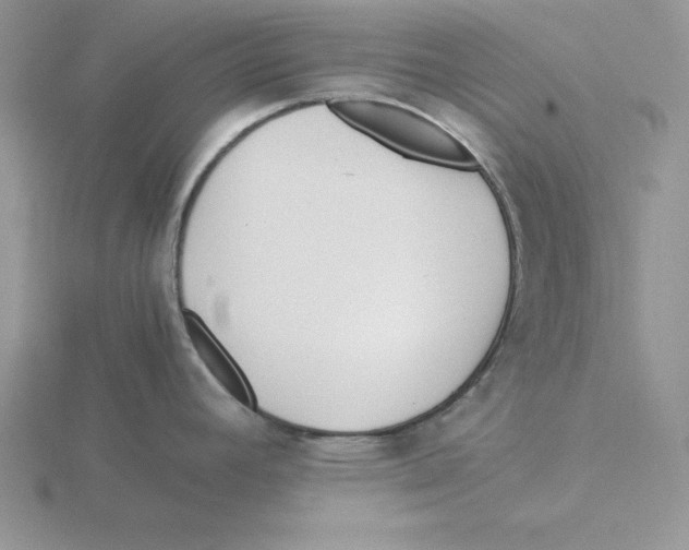 X0000115821392200912111242