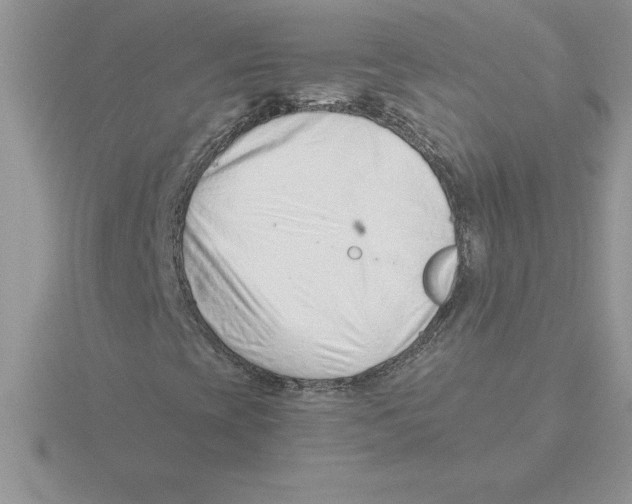 X0000115821393200912111241