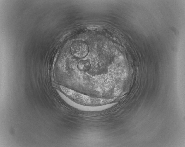 X0000115821394200912111241