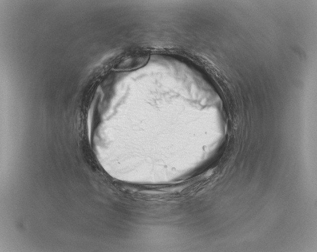 X0000115821398200912111241