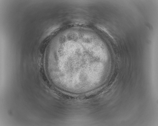 X0000115821399200912111241