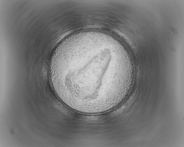 X0000115821401200912111241