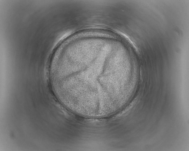 X0000115821405200912111241