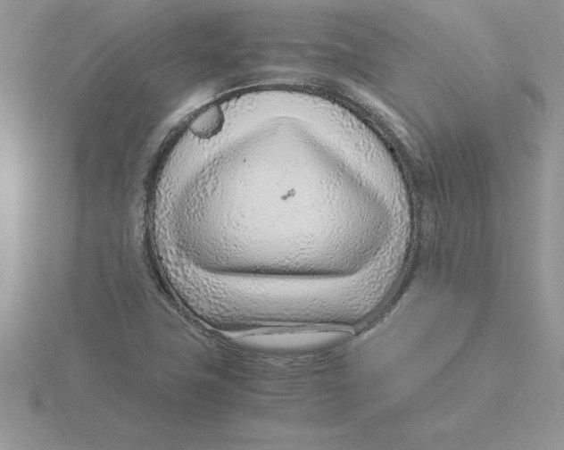 X0000115821411200912111241