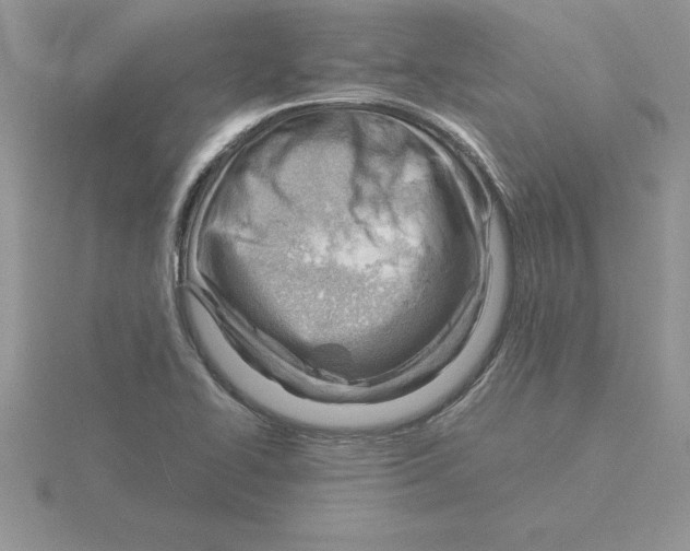 X0000115821414200912111241