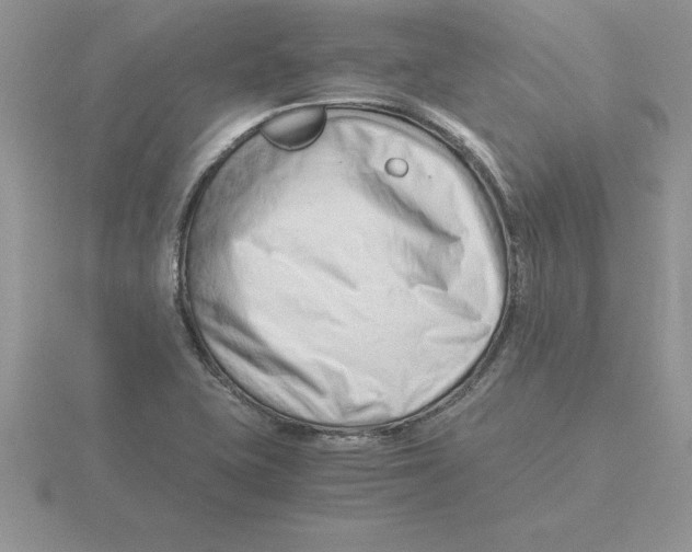 X0000115821415200912111241