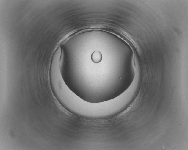 X0000115821417200912111241