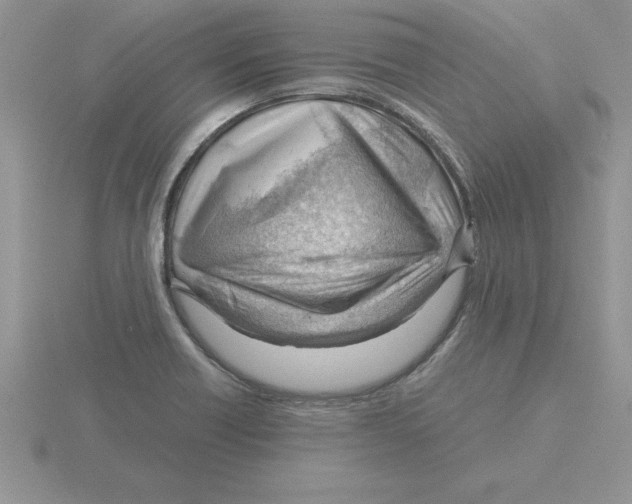 X0000115821418200912111242