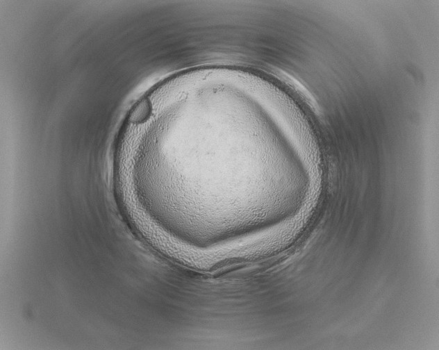 X0000115821419200912111242