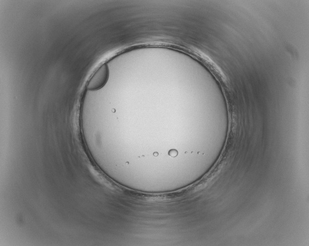 X0000115821421200912111242