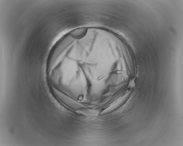 X0000115821422200912111242