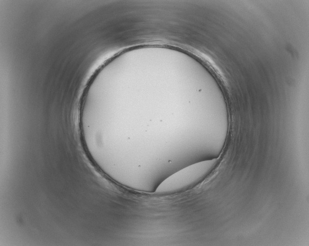 X0000115821424200912111242