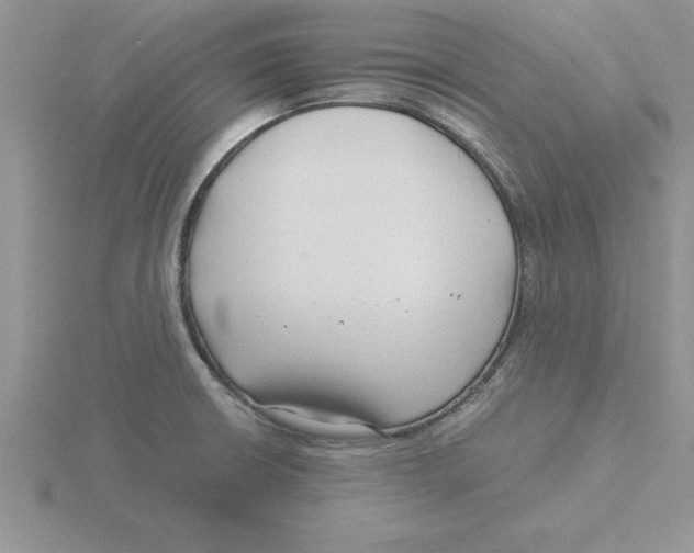 X0000115821426200912111242