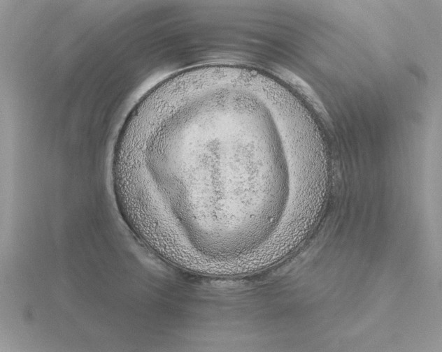 X0000115821427200912111242