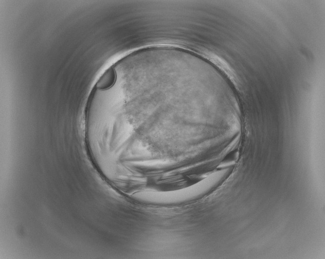 X0000115821428200912111242