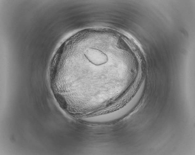 X0000115821429200912111242