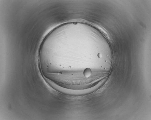 X0000115821430200912111242