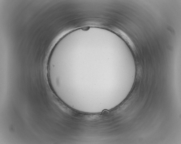 X0000115821435200912111242