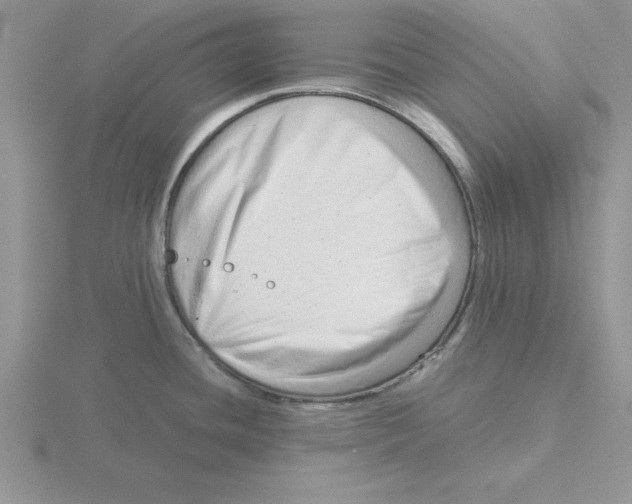 X0000115821436200912111242